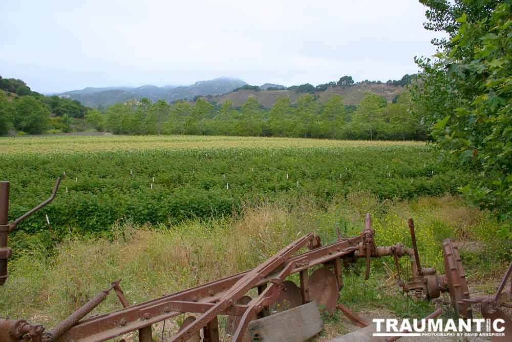 A farm landscape.