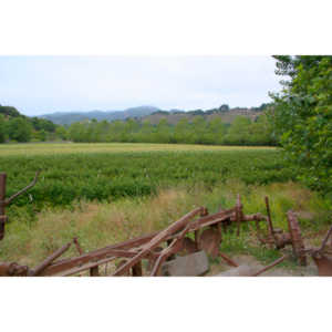 A farm landscape.