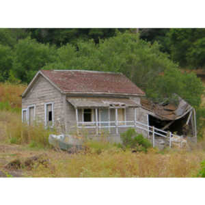 An abandoned and decaying house.