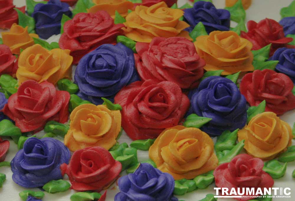 My friend Tanya's mom was having a milestone birthday.  She asked me to photograph the party.  I did video too and made a DVD for them.  Not bad for my first true event session.