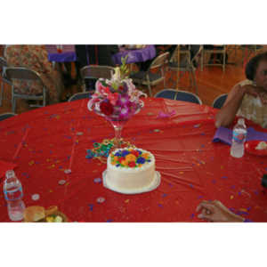 My friend Tanya's mom was having a milestone birthday.  She asked me to photograph the party.  I did video too and made a DVD for them.  Not bad for my first true event session.