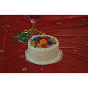 My friend Tanya's mom was having a milestone birthday.  She asked me to photograph the party.  I did video too and made a DVD for them.  Not bad for my first true event session.