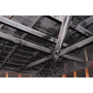 I finally had enough cash to rebuild the inside of my garage to a new studio space to work in.