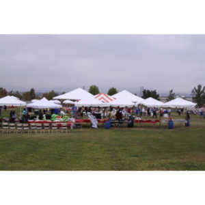 My first yeaer shooting the team photos for the Step Out walk in Valencia, CA.