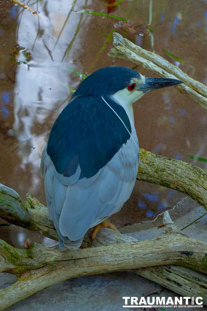 Shots from around the park.