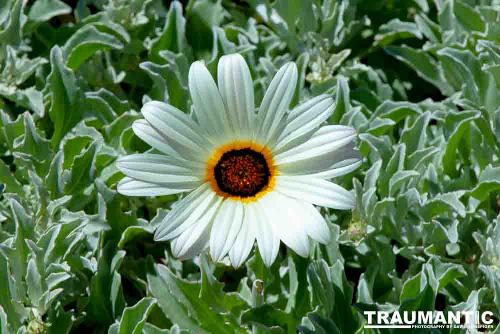 Shots from around the park.