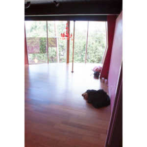 I was asked to shoot the grand opening of Emma Ridley's second location for her Goddess Fitness Dance clubs.  This location in particular was an amazing place.  Unfortunately, it's closed down now.  I did have fun shooting the event though.