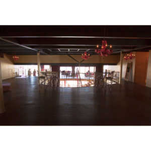 I was asked to shoot the grand opening of Emma Ridley's second location for her Goddess Fitness Dance clubs.  This location in particular was an amazing place.  Unfortunately, it's closed down now.  I did have fun shooting the event though.