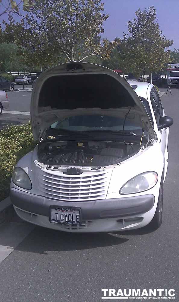 These are the team photos and some candid shots from the 2010 Step Out Walk.