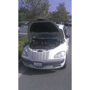 These are the team photos and some candid shots from the 2010 Step Out Walk.