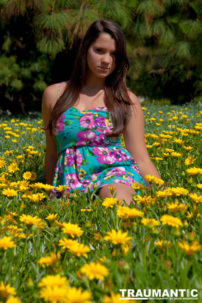 My fourth and final session with Katie.  We went out into the local area and found interesting places to shoot.  Nothing world changing, but some cute shots.