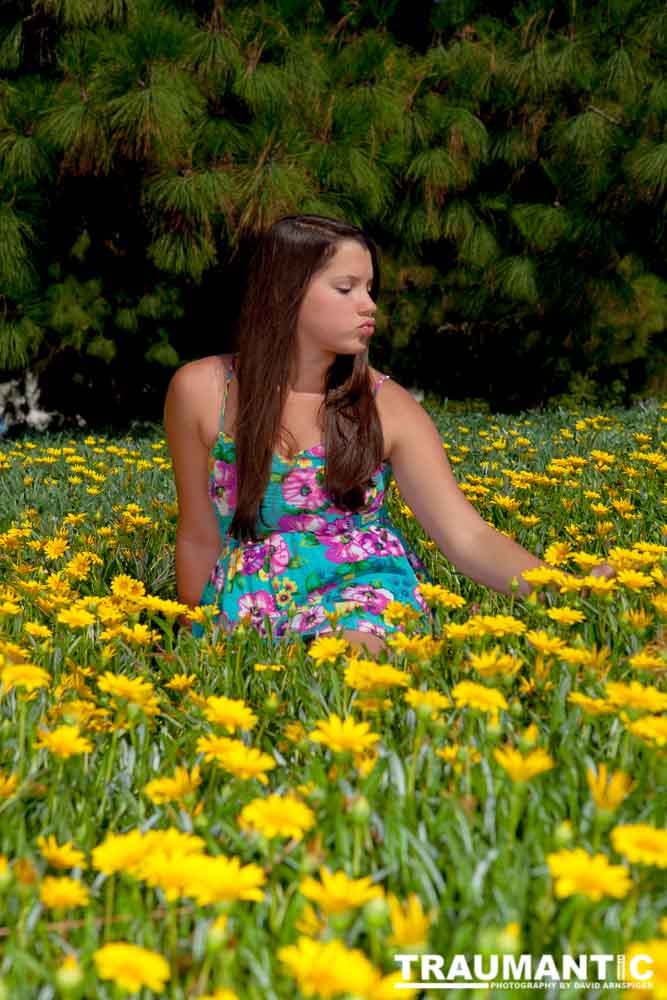 My fourth and final session with Katie.  We went out into the local area and found interesting places to shoot.  Nothing world changing, but some cute shots.