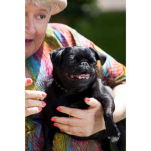 My long time friend Jill agreed to sit for me in hopes of getting good shots for her business cards.  We succeeded in our goal.