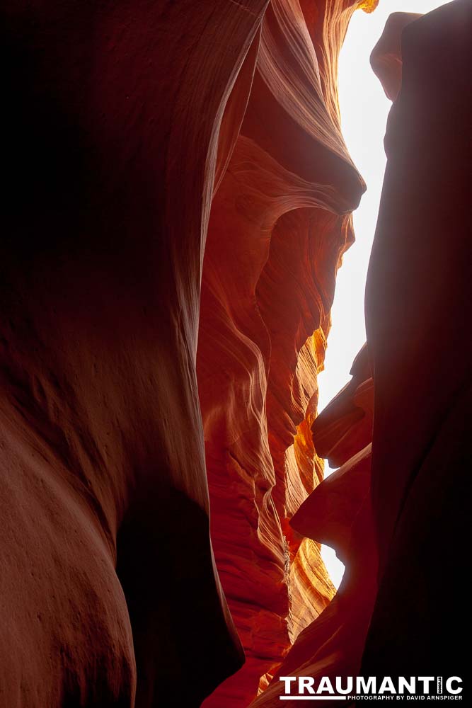 My best shots from my visit to Lower Antelope Canyon in Page, AZ.