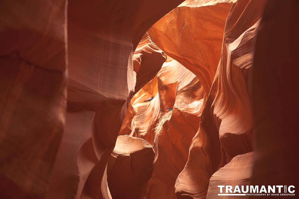 My best shots from my visit to Lower Antelope Canyon in Page, AZ.