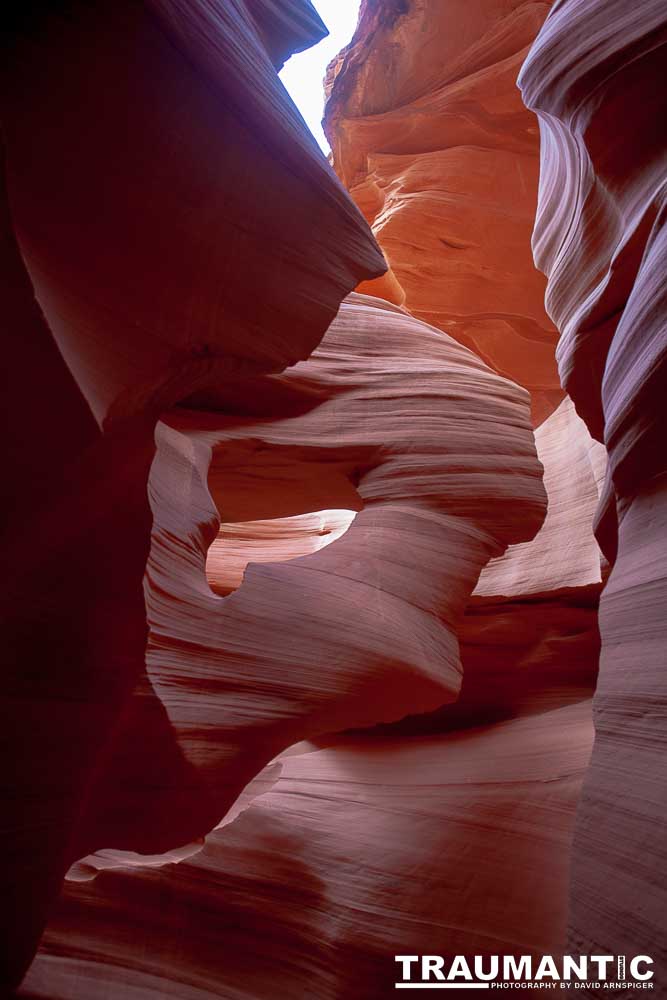 My best shots from my visit to Lower Antelope Canyon in Page, AZ.