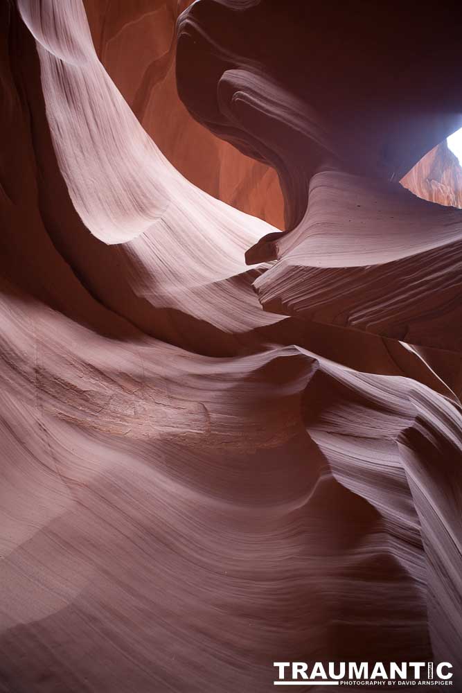 My best shots from my visit to Lower Antelope Canyon in Page, AZ.