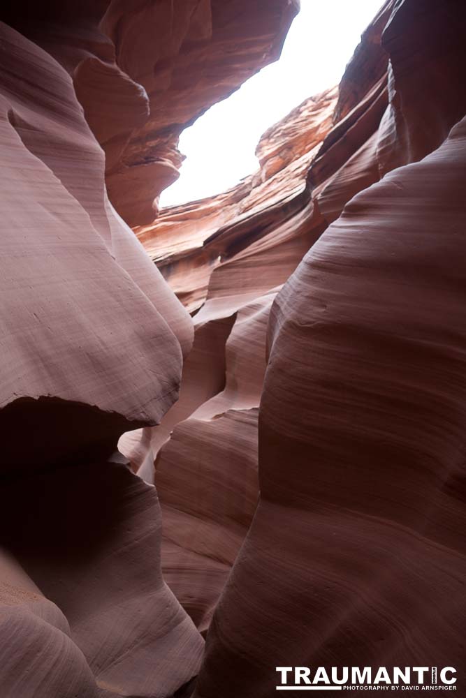 My best shots from my visit to Lower Antelope Canyon in Page, AZ.