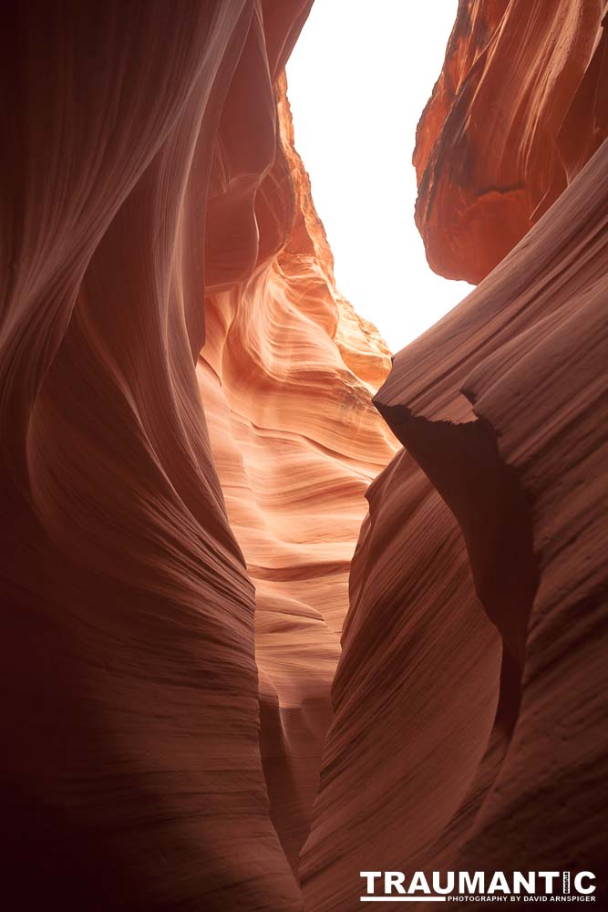 My best shots from my visit to Lower Antelope Canyon in Page, AZ.