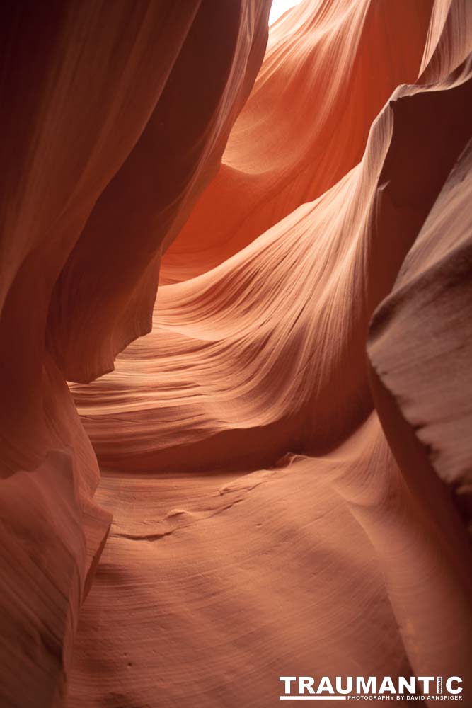 My best shots from my visit to Lower Antelope Canyon in Page, AZ.