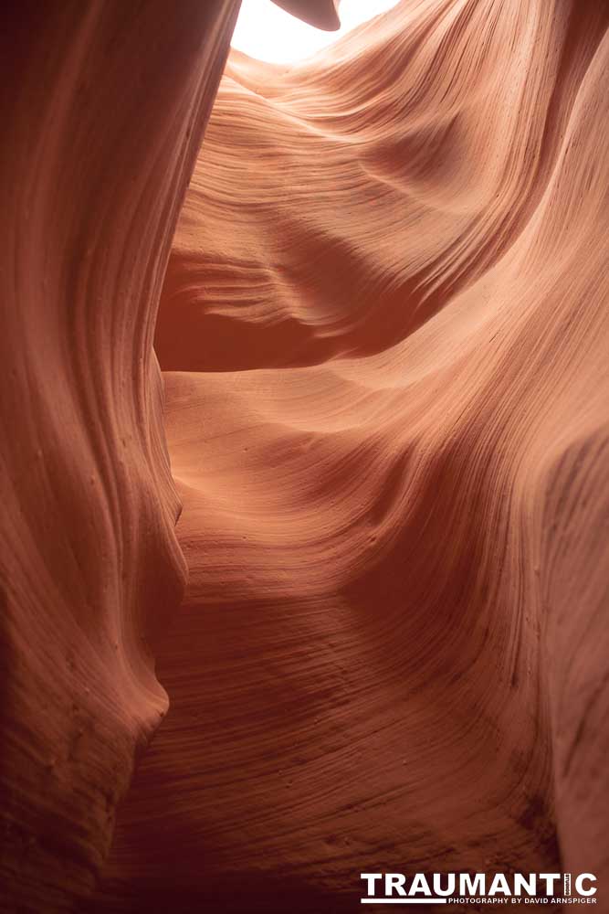 My best shots from my visit to Lower Antelope Canyon in Page, AZ.