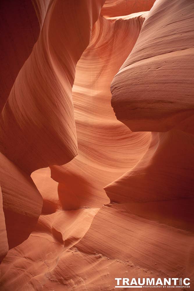 My best shots from my visit to Lower Antelope Canyon in Page, AZ.