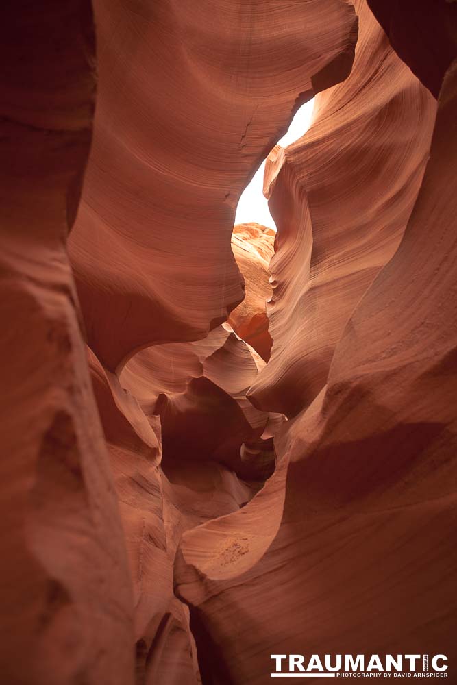 My best shots from my visit to Lower Antelope Canyon in Page, AZ.