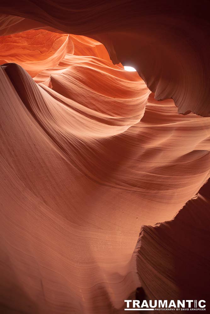 My best shots from my visit to Lower Antelope Canyon in Page, AZ.