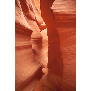 My best shots from my visit to Lower Antelope Canyon in Page, AZ.