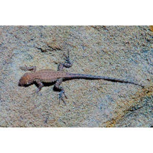 Pictures from around Glen Canyon Dam in Northern Arizona.