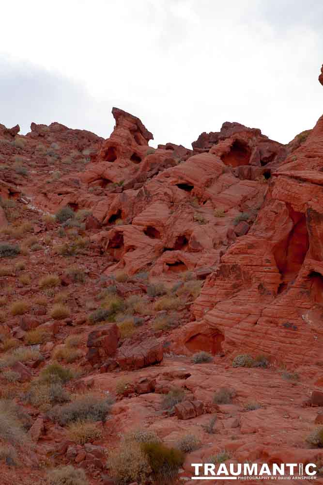 On the last leg of our trip through the southwest, Seth Grenald and I made a stop at The Valley Of Fire in Southern Nevada.  An amazing place.