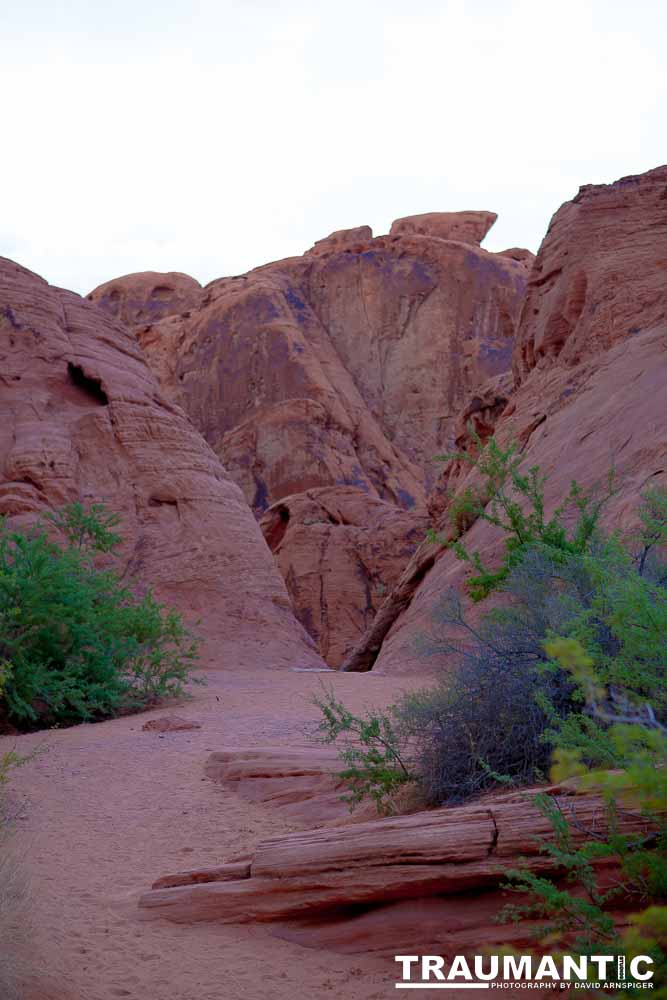 On the last leg of our trip through the southwest, Seth Grenald and I made a stop at The Valley Of Fire in Southern Nevada.  An amazing place.