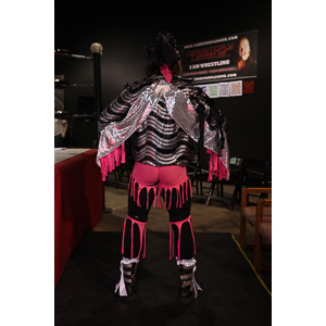 Various photographs of the Freakshow Wrestling California event on 01/14/2012.  This was my first time shooting the event.  I was actually brought in to do some custom shots of the wrestlers for web site animations.