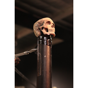 Various photographs of the Freakshow Wrestling California event on 01/14/2012.  This was my first time shooting the event.  I was actually brought in to do some custom shots of the wrestlers for web site animations.