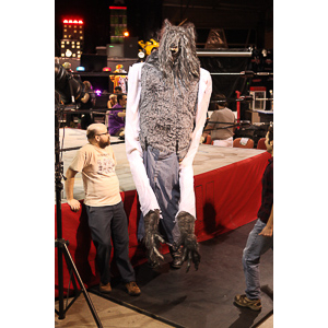 Various photographs of the Freakshow Wrestling California event on 01/14/2012.  This was my first time shooting the event.  I was actually brought in to do some custom shots of the wrestlers for web site animations.