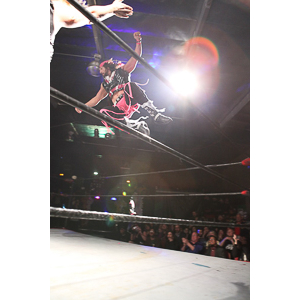 Various photographs of the Freakshow Wrestling California event on 01/14/2012.  This was my first time shooting the event.  I was actually brought in to do some custom shots of the wrestlers for web site animations.