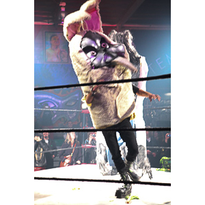 Various photographs of the Freakshow Wrestling California event on 01/14/2012.  This was my first time shooting the event.  I was actually brought in to do some custom shots of the wrestlers for web site animations.