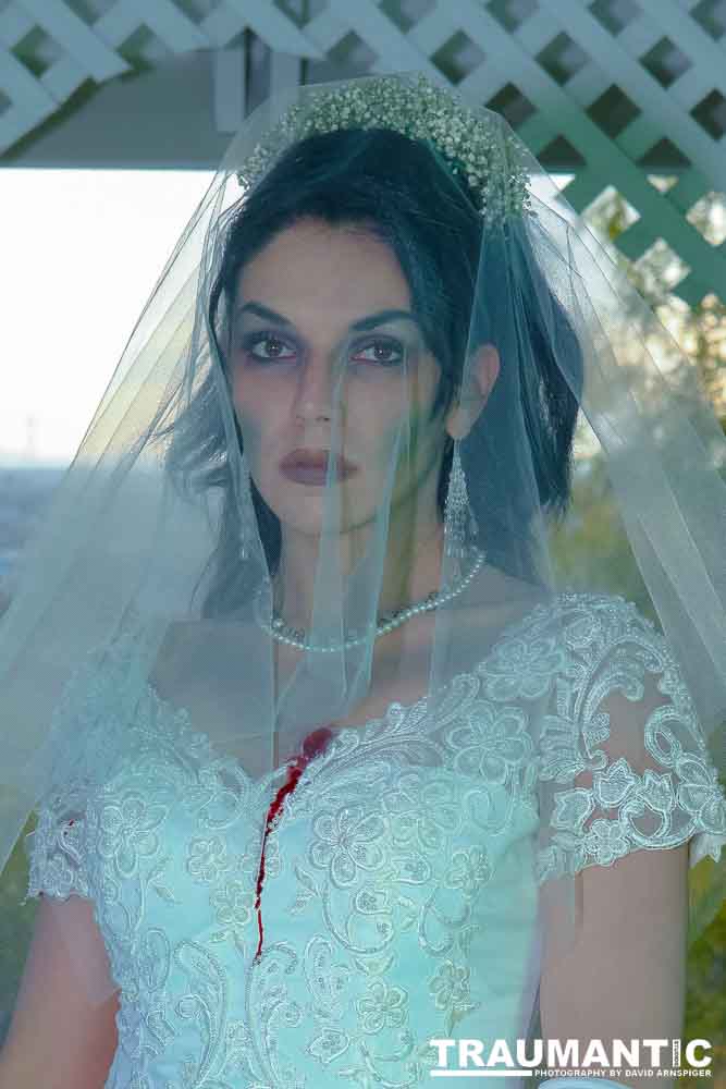 Jenna had a concept for a dead bride she wanted to do.  She handled the wardrobe and makeup, and we decided on this cool gazebo location in Canyon Country.  The final shots came out really good.