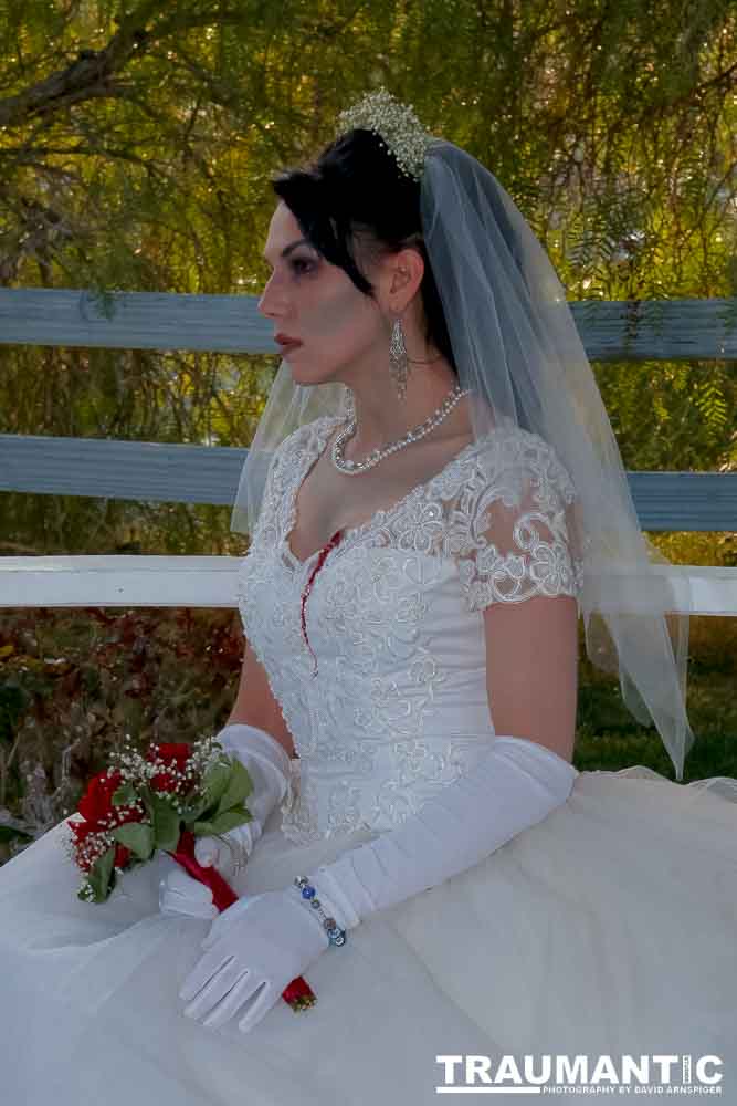 Jenna had a concept for a dead bride she wanted to do.  She handled the wardrobe and makeup, and we decided on this cool gazebo location in Canyon Country.  The final shots came out really good.