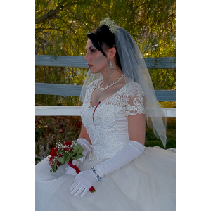 Jenna had a concept for a dead bride she wanted to do.  She handled the wardrobe and makeup, and we decided on this cool gazebo location in Canyon Country.  The final shots came out really good.