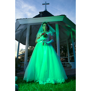 Jenna had a concept for a dead bride she wanted to do.  She handled the wardrobe and makeup, and we decided on this cool gazebo location in Canyon Country.  The final shots came out really good.