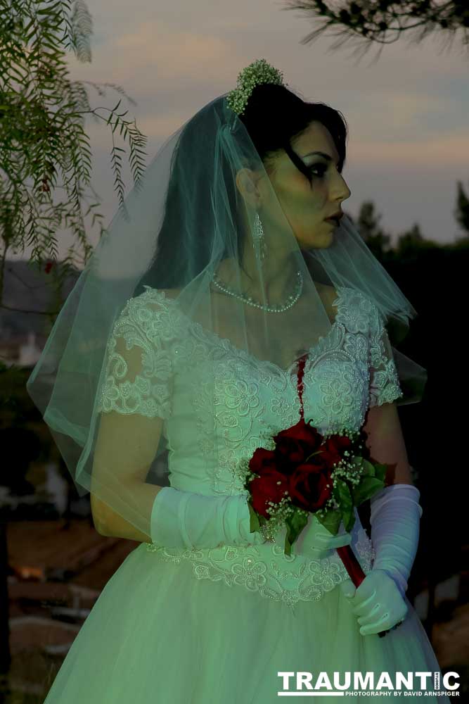 Jenna had a concept for a dead bride she wanted to do.  She handled the wardrobe and makeup, and we decided on this cool gazebo location in Canyon Country.  The final shots came out really good.