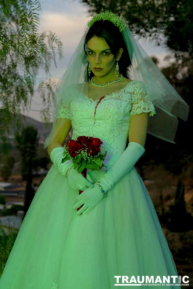 Jenna had a concept for a dead bride she wanted to do.  She handled the wardrobe and makeup, and we decided on this cool gazebo location in Canyon Country.  The final shots came out really good.