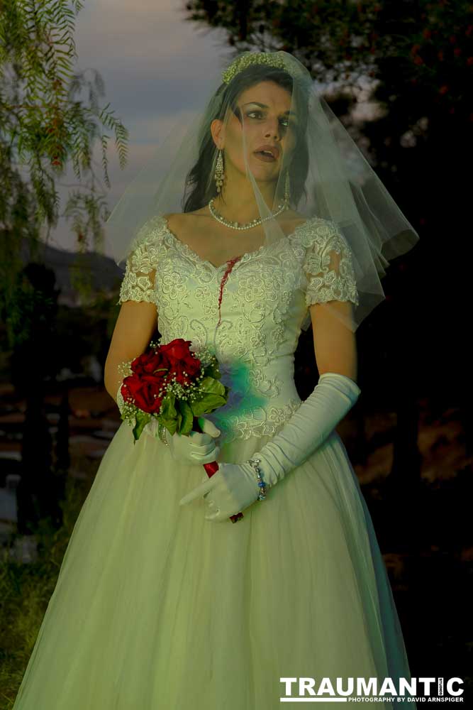 Jenna had a concept for a dead bride she wanted to do.  She handled the wardrobe and makeup, and we decided on this cool gazebo location in Canyon Country.  The final shots came out really good.