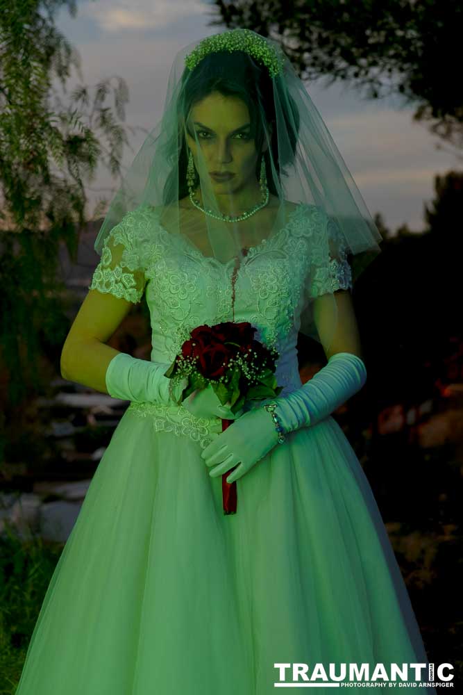 Jenna had a concept for a dead bride she wanted to do.  She handled the wardrobe and makeup, and we decided on this cool gazebo location in Canyon Country.  The final shots came out really good.