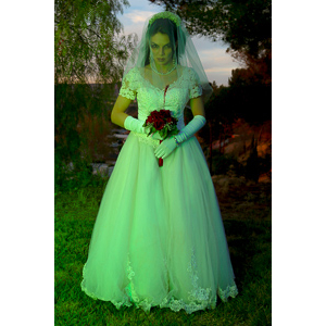 Jenna had a concept for a dead bride she wanted to do.  She handled the wardrobe and makeup, and we decided on this cool gazebo location in Canyon Country.  The final shots came out really good.