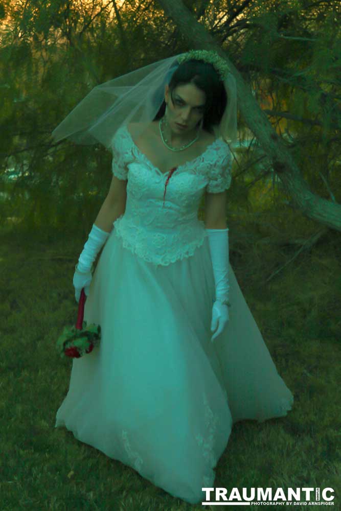 Jenna had a concept for a dead bride she wanted to do.  She handled the wardrobe and makeup, and we decided on this cool gazebo location in Canyon Country.  The final shots came out really good.