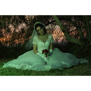 Jenna had a concept for a dead bride she wanted to do.  She handled the wardrobe and makeup, and we decided on this cool gazebo location in Canyon Country.  The final shots came out really good.