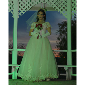 Jenna had a concept for a dead bride she wanted to do.  She handled the wardrobe and makeup, and we decided on this cool gazebo location in Canyon Country.  The final shots came out really good.