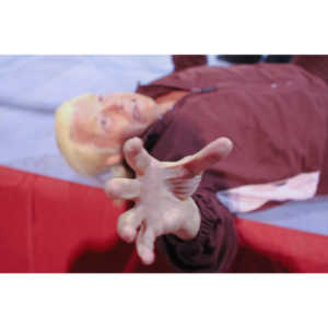 The Cinco de Mayo Freakshow Wrestling event at Knokz Pro Arena in Sun Valley, CA.  Featuring Sinn Bodhi, Scorch the Clown, Rock Riddle, Staysha Randall, Leroy Patterson, Amanda and many others.